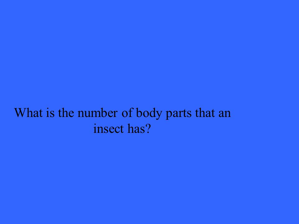What is the number of body parts that an insect has