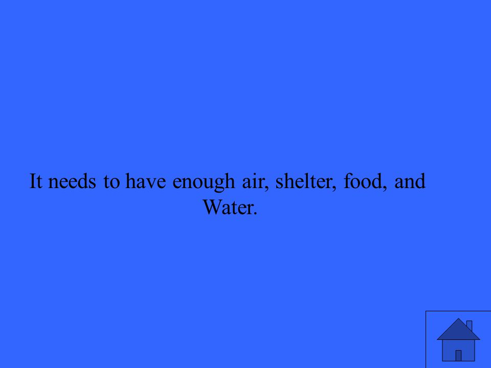 It needs to have enough air, shelter, food, and Water.