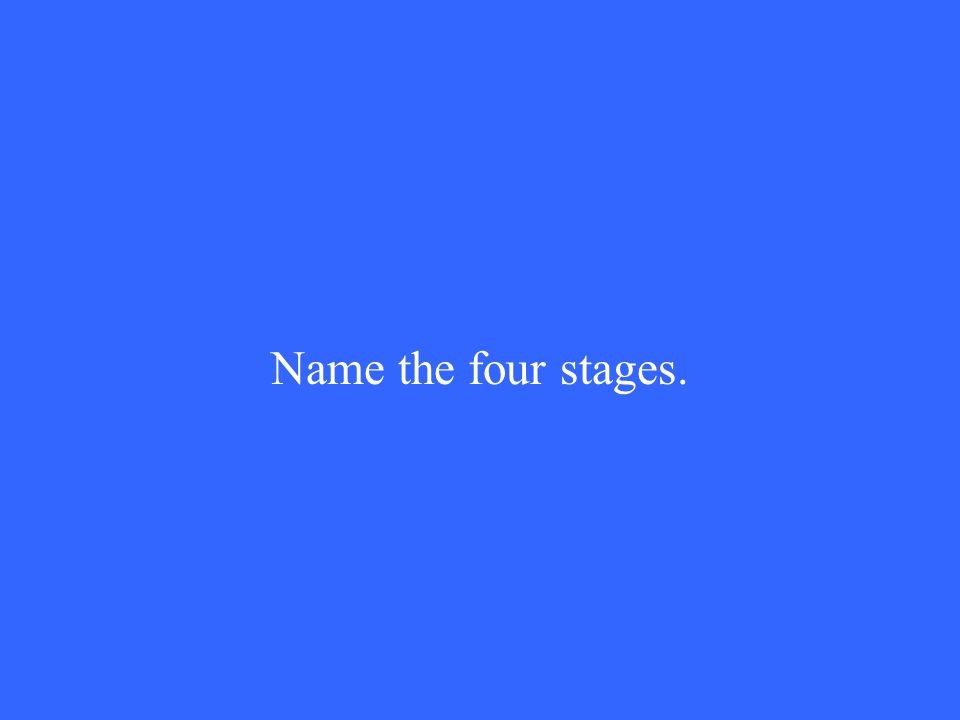 Name the four stages.
