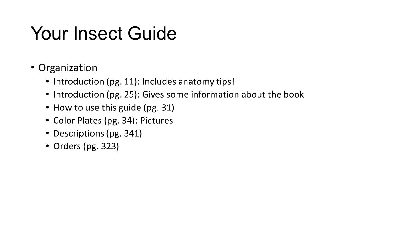 Your Insect Guide Organization Introduction (pg. 11): Includes anatomy tips.