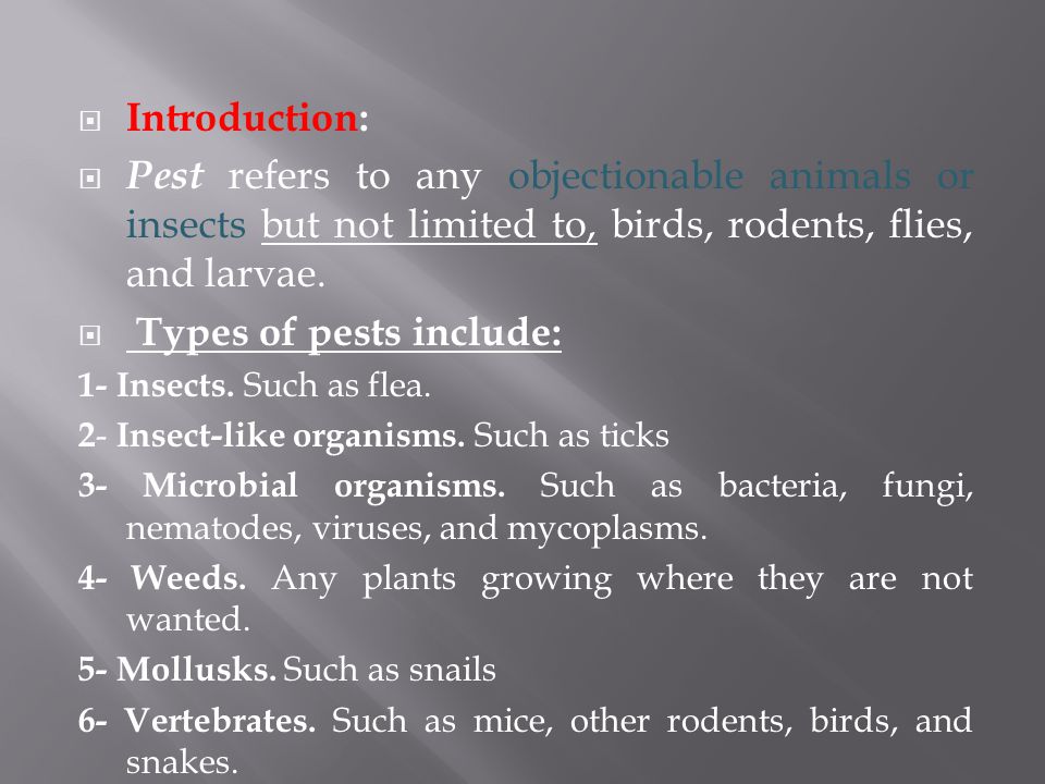 Introduction:  Pest refers to any objectionable animals or insects but not limited to, birds, rodents, flies, and larvae.