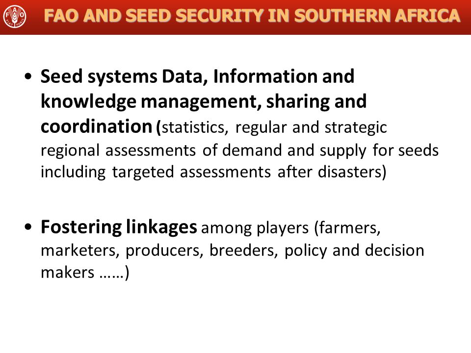 FAO AND SEED SECURITY IN SOUTHERN AFRICA Seed systems Data, Information and knowledge management, sharing and coordination (statistics, regular and strategic regional assessments of demand and supply for seeds including targeted assessments after disasters) Fostering linkages among players (farmers, marketers, producers, breeders, policy and decision makers ……)