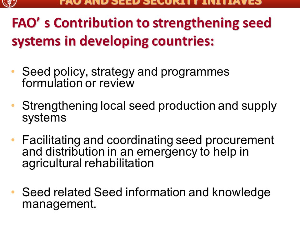 FAO’ s Contribution to strengthening seed systems in developing countries: Seed policy, strategy and programmes formulation or review Strengthening local seed production and supply systems Facilitating and coordinating seed procurement and distribution in an emergency to help in agricultural rehabilitation Seed related Seed information and knowledge management.