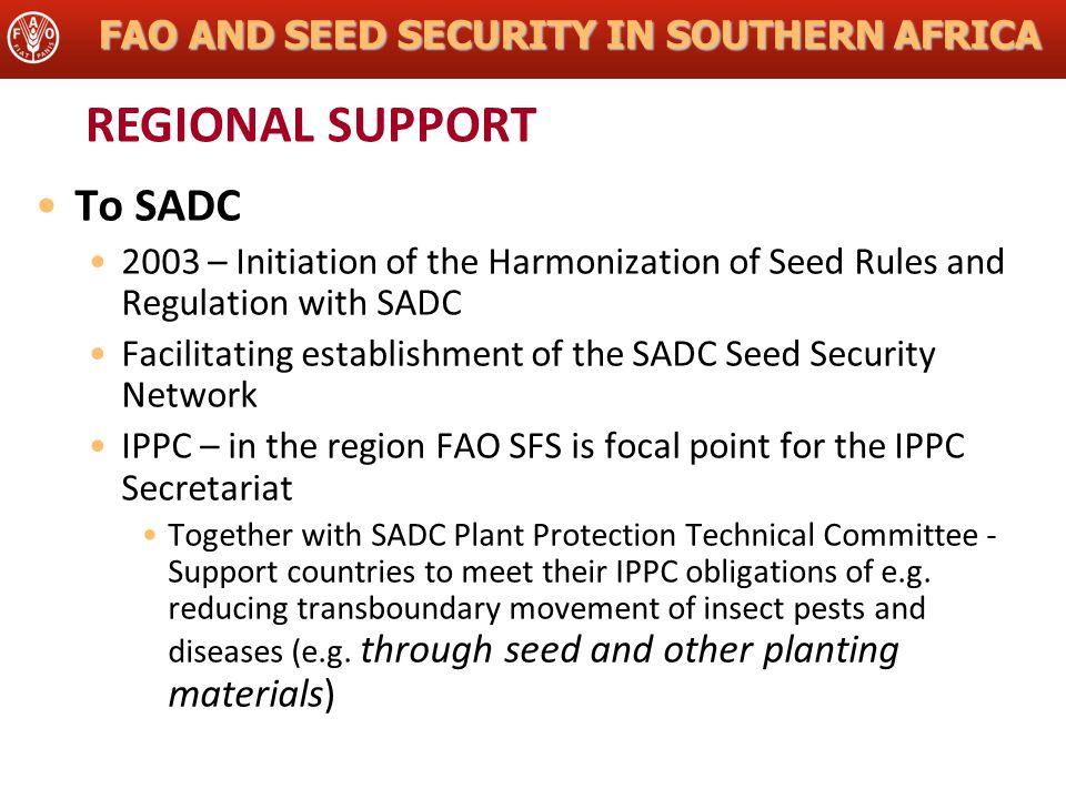 FAO AND SEED SECURITY IN SOUTHERN AFRICA To SADC 2003 – Initiation of the Harmonization of Seed Rules and Regulation with SADC Facilitating establishment of the SADC Seed Security Network IPPC – in the region FAO SFS is focal point for the IPPC Secretariat Together with SADC Plant Protection Technical Committee - Support countries to meet their IPPC obligations of e.g.