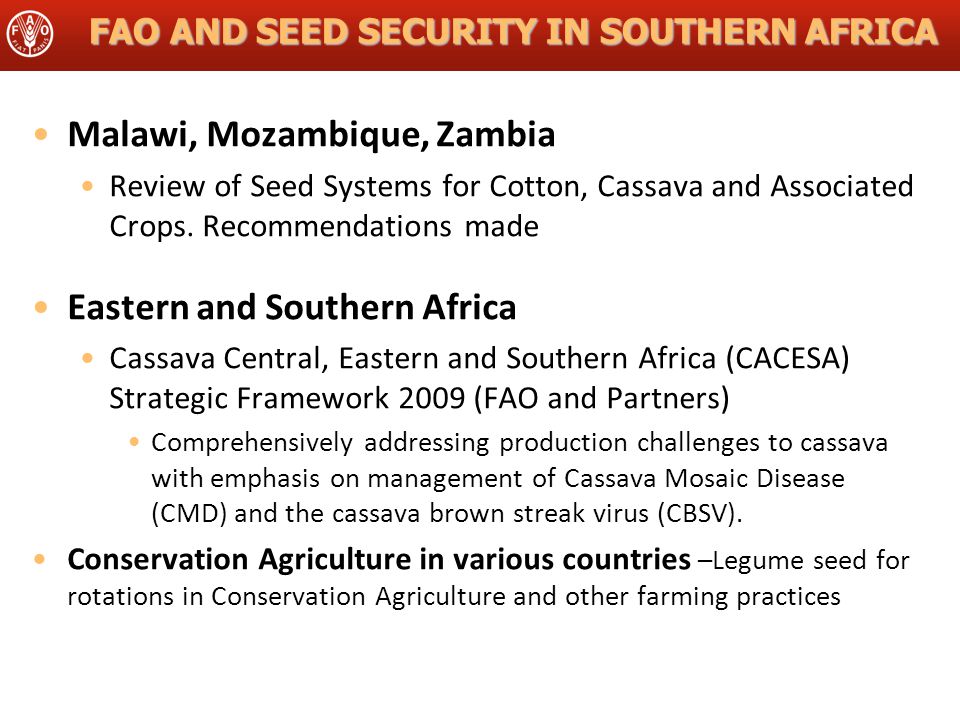 FAO AND SEED SECURITY IN SOUTHERN AFRICA Malawi, Mozambique, Zambia Review of Seed Systems for Cotton, Cassava and Associated Crops.