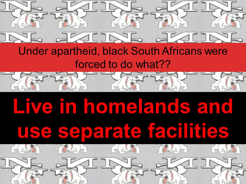 Apartheid is comes from the Afrikaans language meaning what Separateness