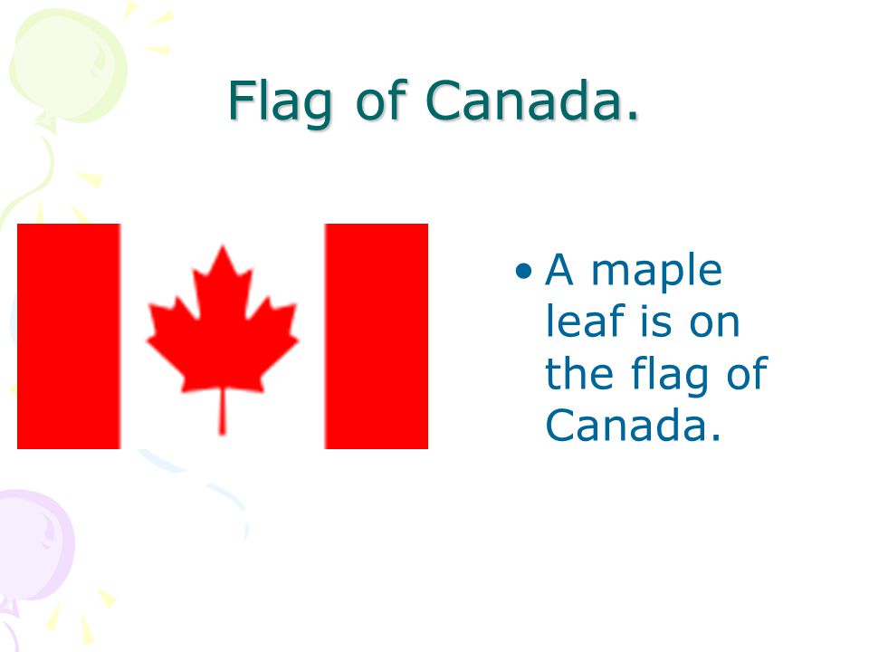 Flag of Canada. A maple leaf is on the flag of Canada.
