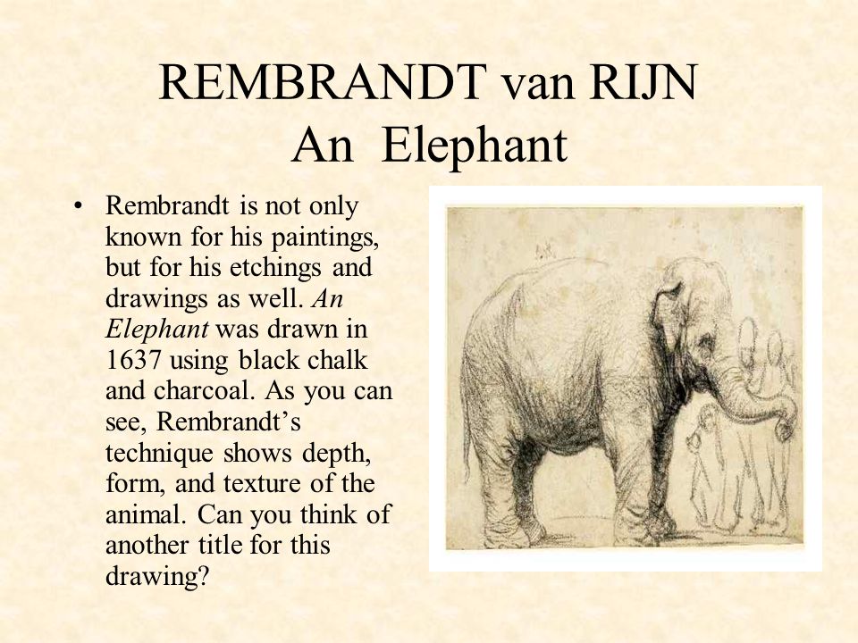 REMBRANDT van RIJN An Elephant Rembrandt is not only known for his paintings, but for his etchings and drawings as well.
