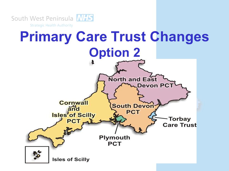 Primary Care Trust Changes Option 2