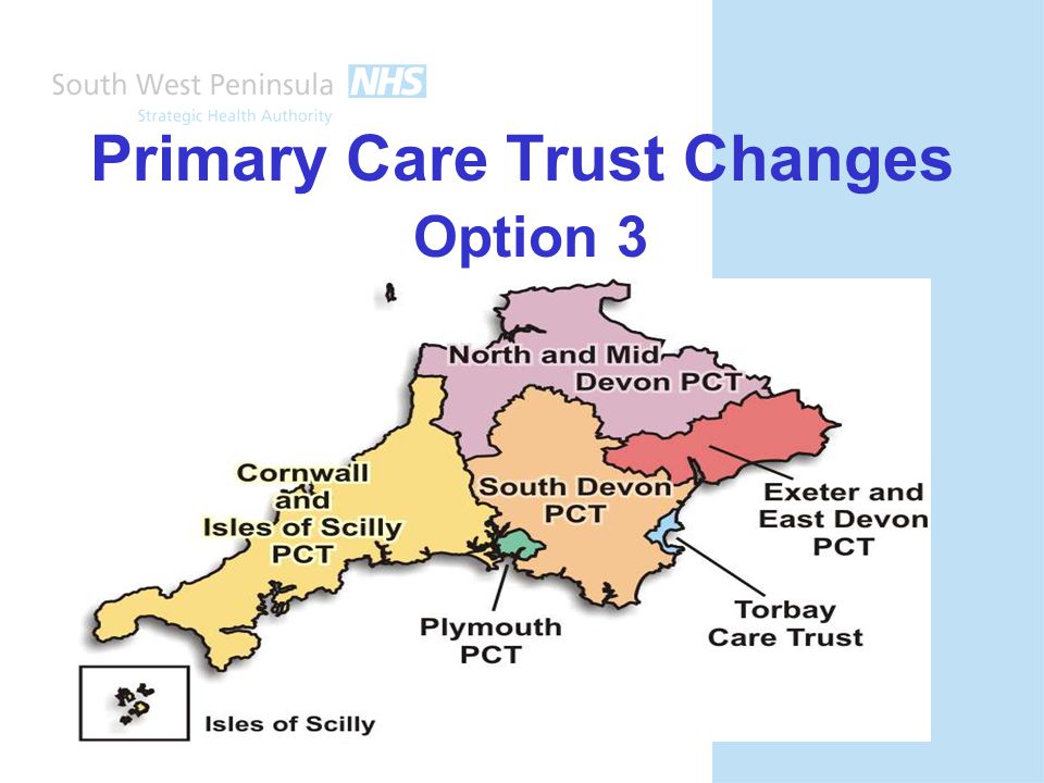 Primary Care Trust Changes Option 3