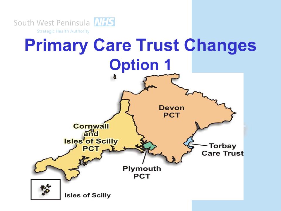 Primary Care Trust Changes Option 1