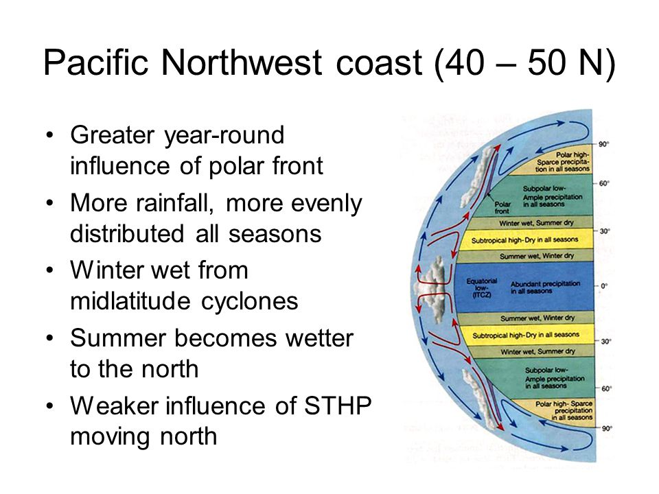 Pacific Northwest coast (40 – 50 N) Greater year-round influence of polar front More rainfall, more evenly distributed all seasons Winter wet from midlatitude cyclones Summer becomes wetter to the north Weaker influence of STHP moving north