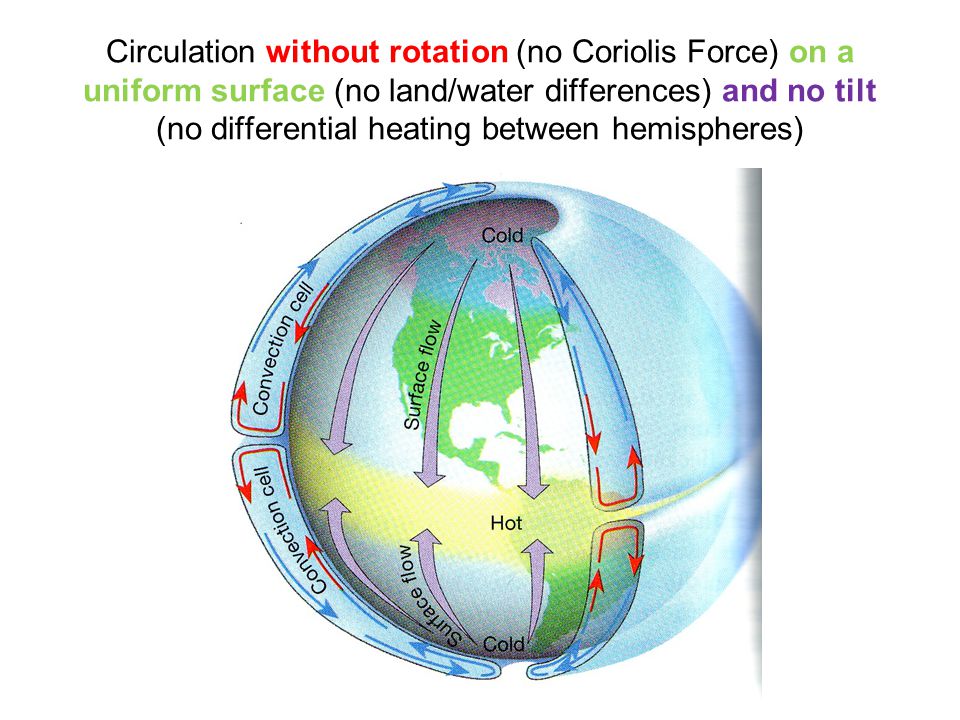 Circulation without rotation (no Coriolis Force) on a uniform surface (no land/water differences) and no tilt (no differential heating between hemispheres)