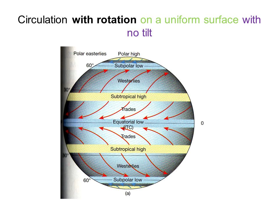 Circulation with rotation on a uniform surface with no tilt