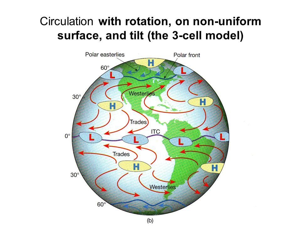 Circulation with rotation, on non-uniform surface, and tilt (the 3-cell model)
