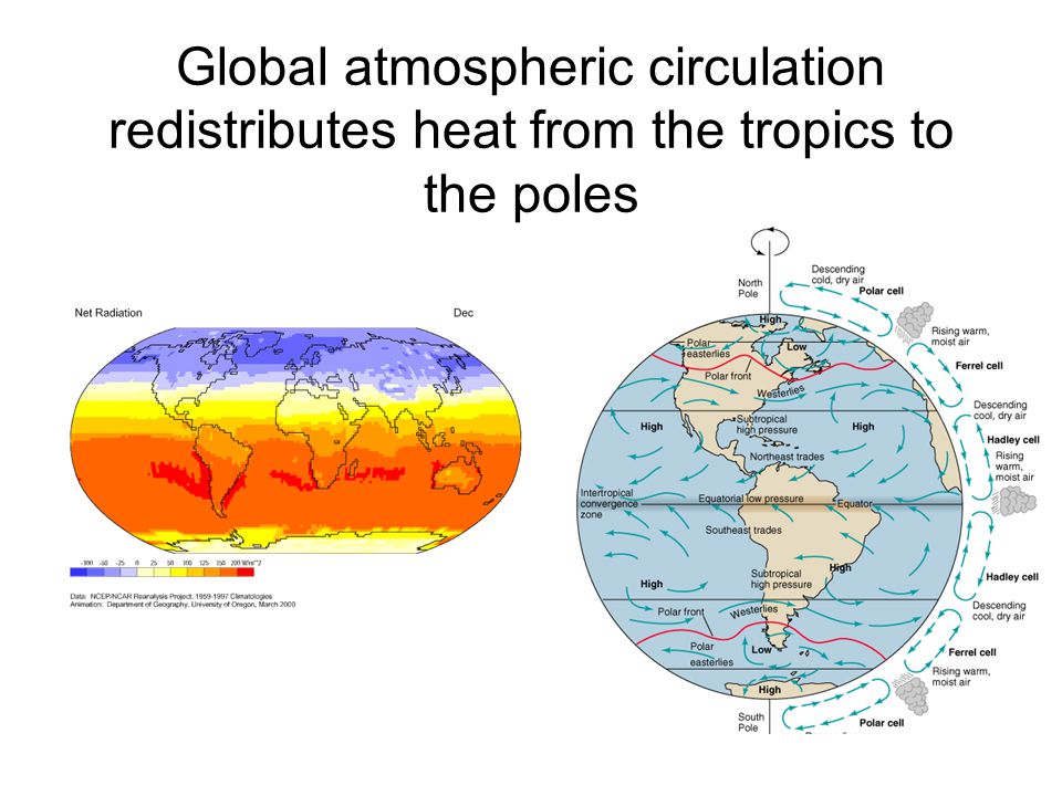 Global atmospheric circulation redistributes heat from the tropics to the poles