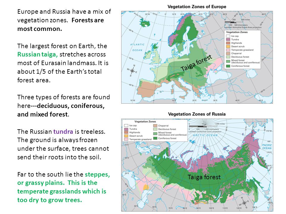 Europe and Russia have a mix of vegetation zones. Forests are most common.