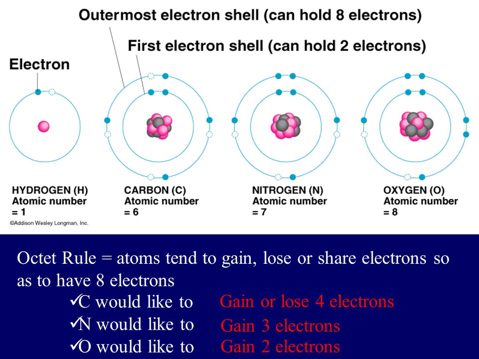 Octet Rule = atoms tend to gain, lose or share electrons so as to have 8 electrons C would like to N would like to O would like to Gain or lose 4 electrons Gain 3 electrons Gain 2 electrons