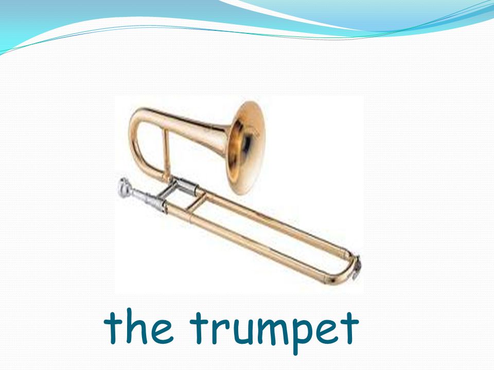 the trumpet