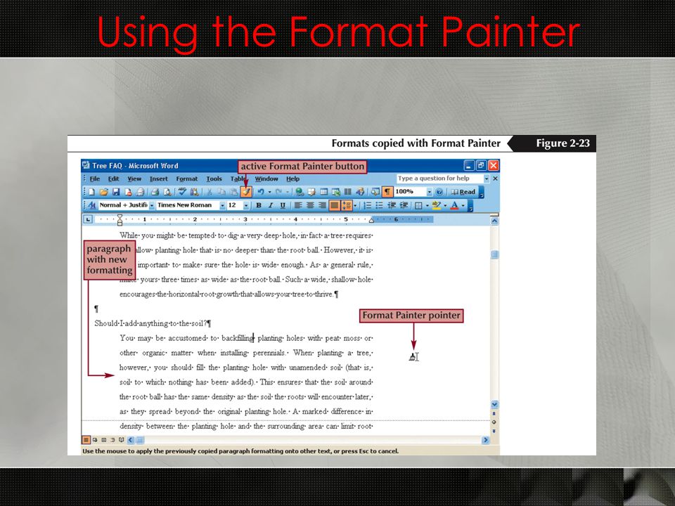 Using the Format Painter
