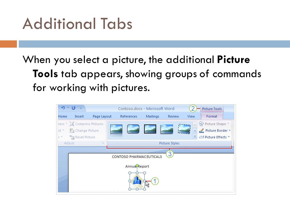 Additional Tabs When you select a picture, the additional Picture Tools tab appears, showing groups of commands for working with pictures.