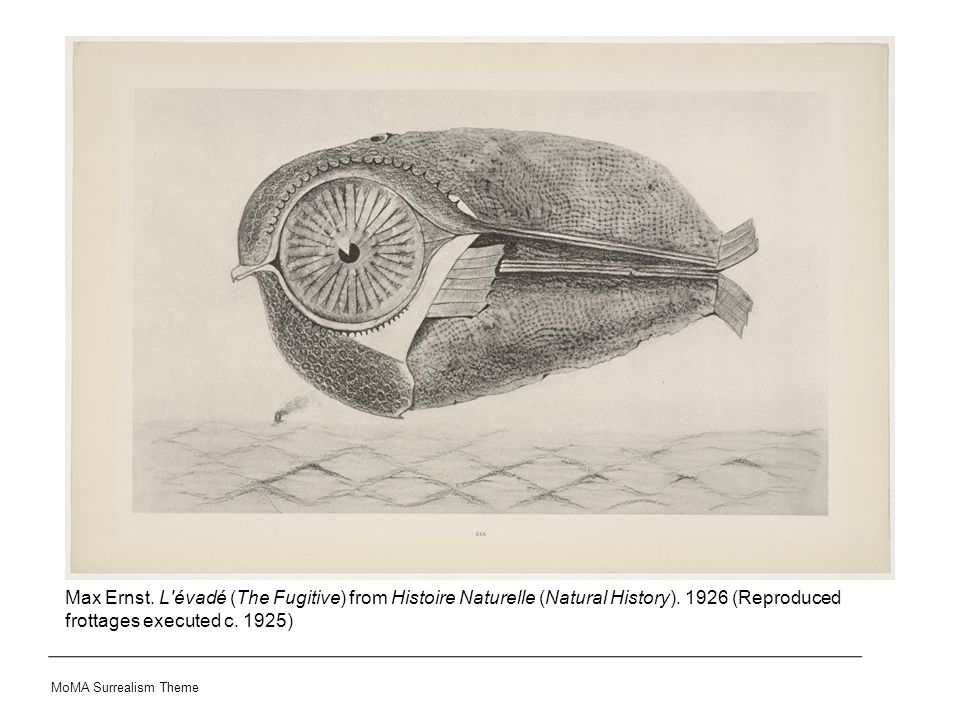 Max Ernst. L évadé (The Fugitive) from Histoire Naturelle (Natural History).