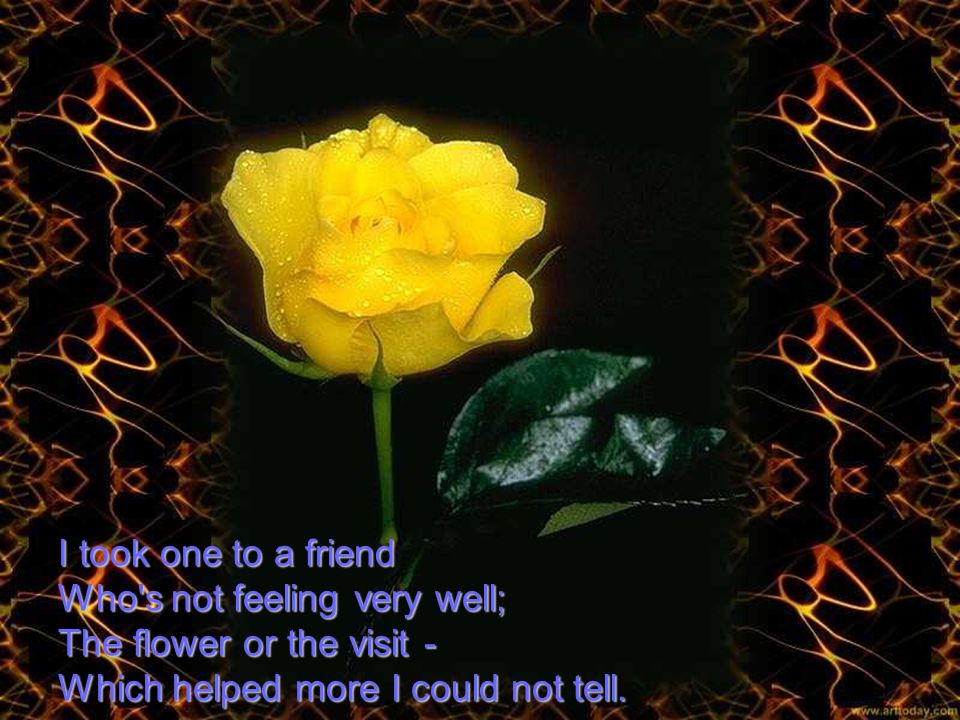 I took one to a friend Who s not feeling very well; The flower or the visit - Which helped more I could not tell.