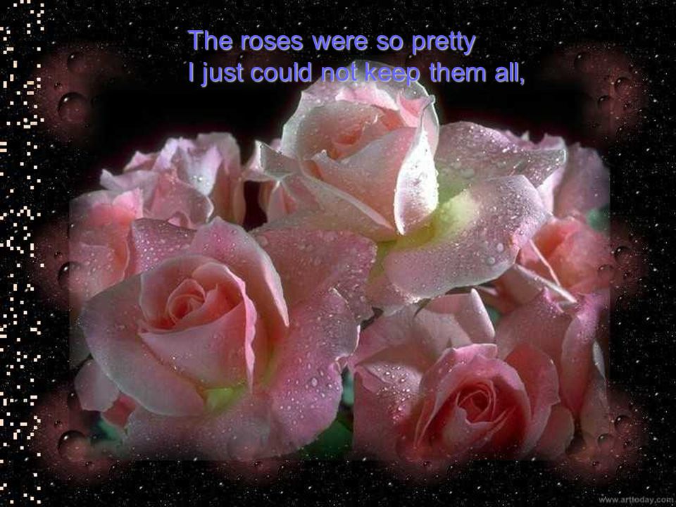 The roses were so pretty I just could not keep them all,