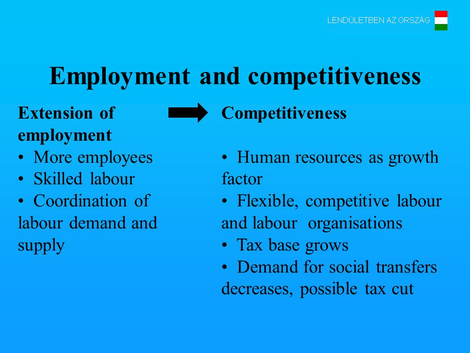 Employment and competitiveness Extension of employment More employees Skilled labour Coordination of labour demand and supply Competitiveness Human resources as growth factor Flexible, competitive labour and labour organisations Tax base grows Demand for social transfers decreases, possible tax cut