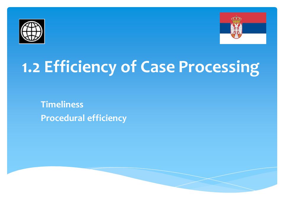 1.2 Efficiency of Case Processing Timeliness Procedural efficiency