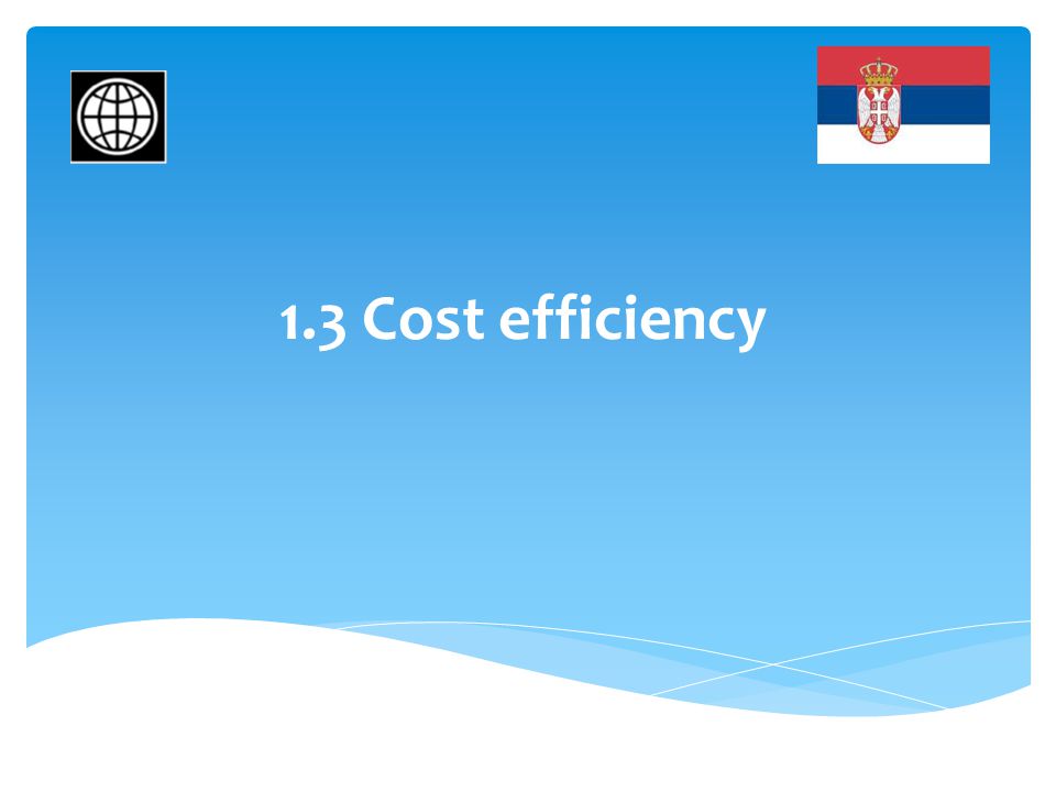 1.3 Cost efficiency