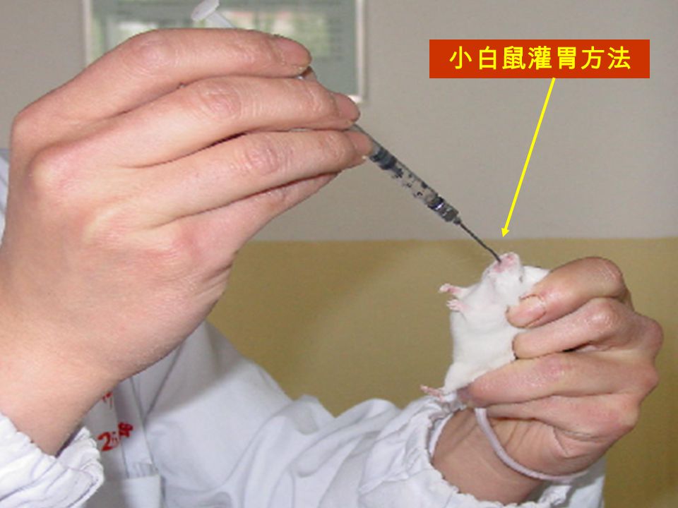 一,动物实验基本方法 动物的捉拿,编号和常用给 药方法 小白鼠的捉拿