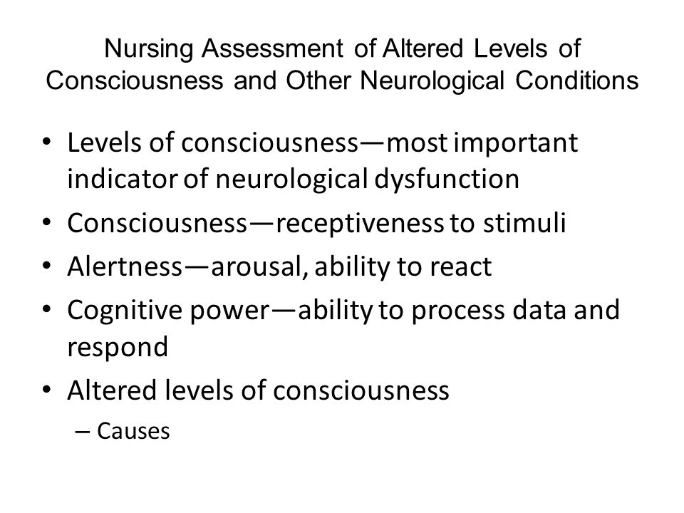 level 6 essay writing