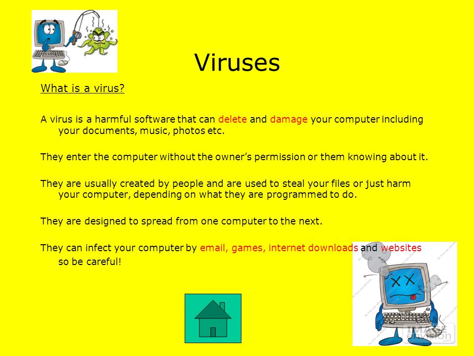 Viruses What is a virus.