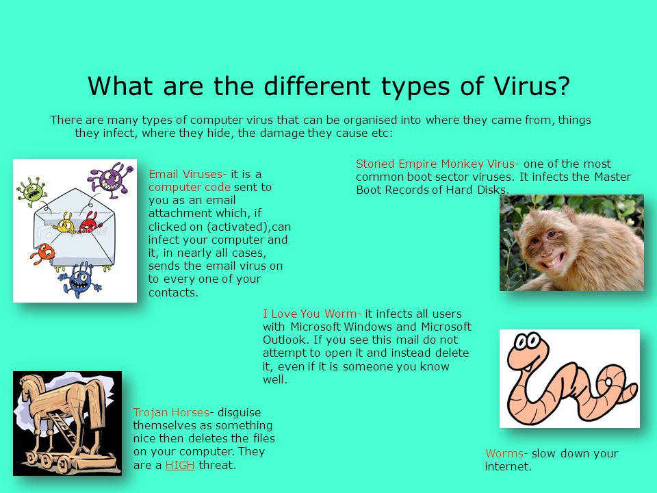 What are the different types of Virus.