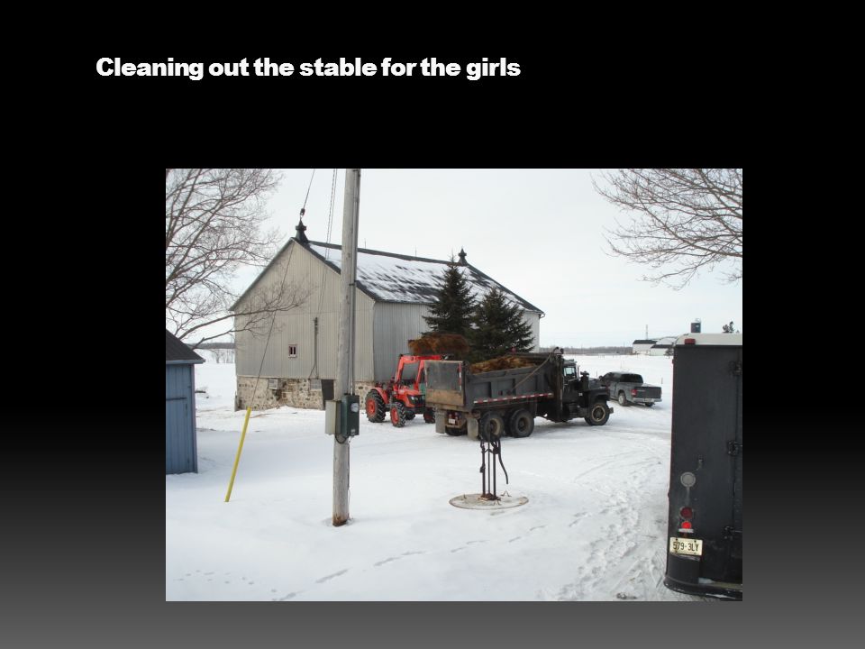 Cleaning out the stable for the girls
