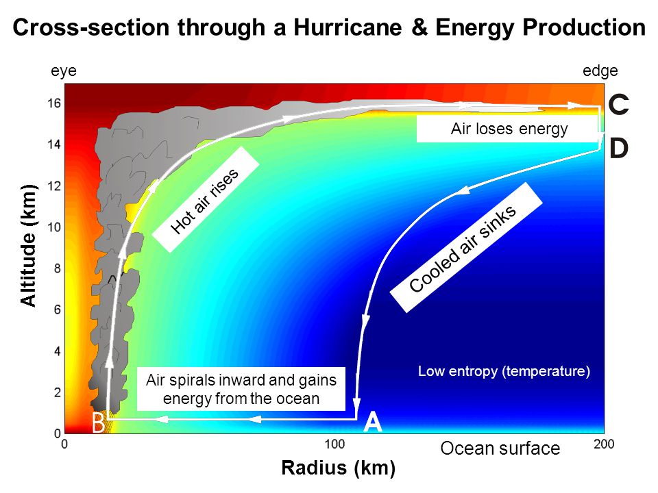 Cross-section through a Hurricane & Energy Production Air loses energy Hot air rises Cooled air sinks eyeedge Low entropy (temperature) Altitude (km) Ocean surface Radius (km) Air spirals inward and gains energy from the ocean