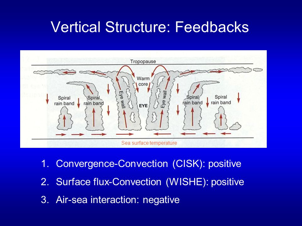 Vertical Structure: Feedbacks 1.Convergence-Convection (CISK): positive 2.Surface flux-Convection (WISHE): positive 3.Air-sea interaction: negative Sea surface temperature