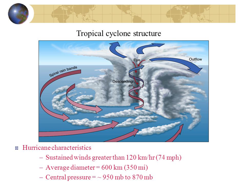 Tropical cyclone structure Hurricane characteristics –Sustained winds greater than 120 km/hr (74 mph) –Average diameter = 600 km (350 mi) –Central pressure = ~ 950 mb to 870 mb