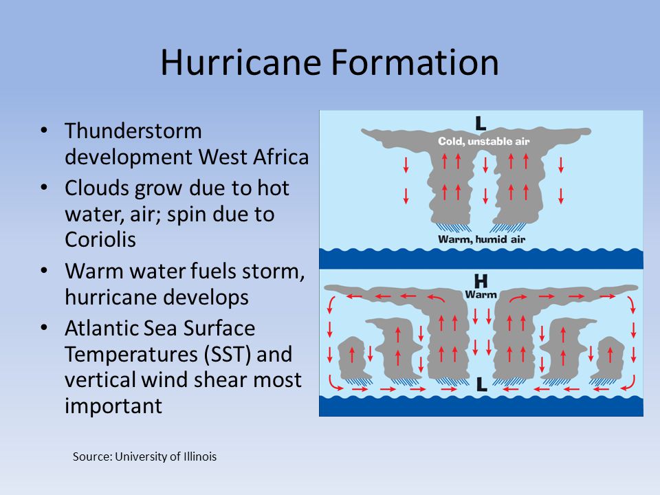 Hurricane Formation Thunderstorm development West Africa Clouds grow due to hot water, air; spin due to Coriolis Warm water fuels storm, hurricane develops Atlantic Sea Surface Temperatures (SST) and vertical wind shear most important Source: University of Illinois