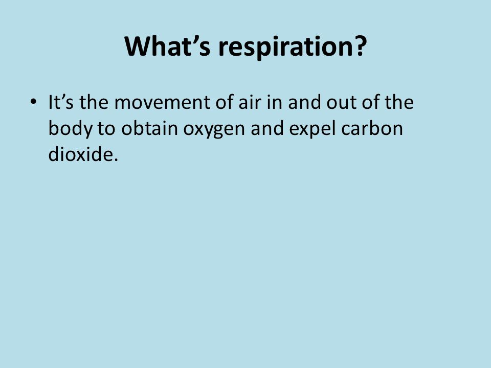 What’s respiration.