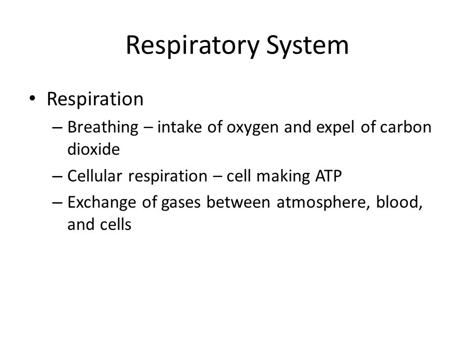 Respiration – Breathing – intake of oxygen and expel of carbon dioxide – Cellular respiration – cell making ATP – Exchange of gases between atmosphere, blood, and cells