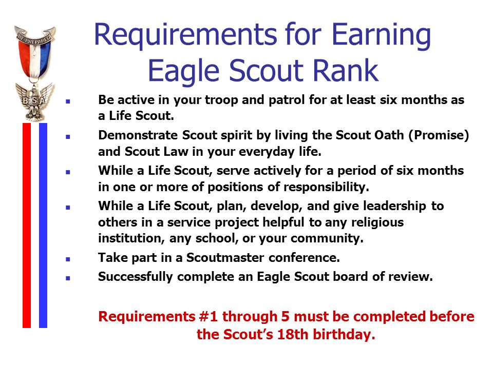 Printables Eagle Scout Worksheet printables eagle scout requirements worksheet safarmediapps intrepidpath worksheets information contained here