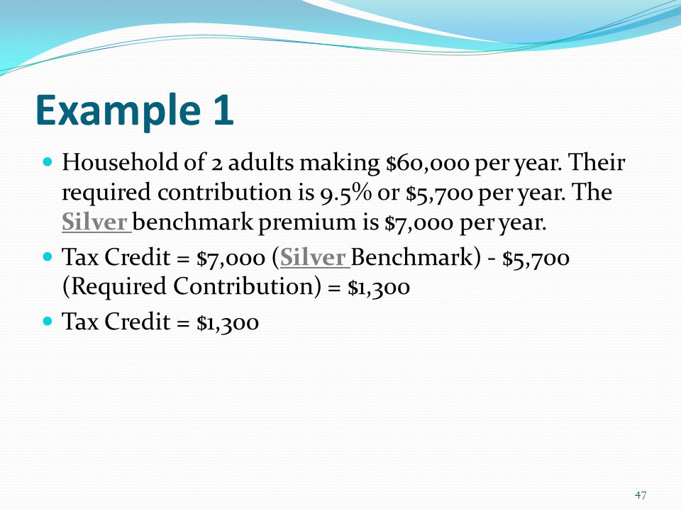 Example 1 Household of 2 adults making $60,000 per year.