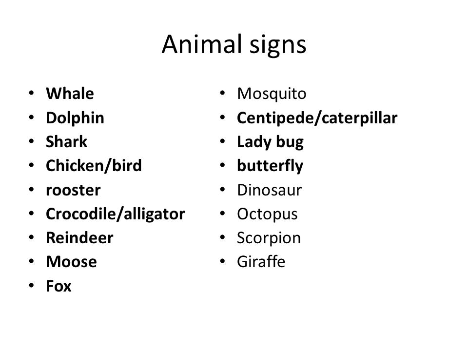Animal signs Whale Dolphin Shark Chicken/bird rooster Crocodile/alligator Reindeer Moose Fox Mosquito Centipede/caterpillar Lady bug butterfly Dinosaur Octopus Scorpion Giraffe