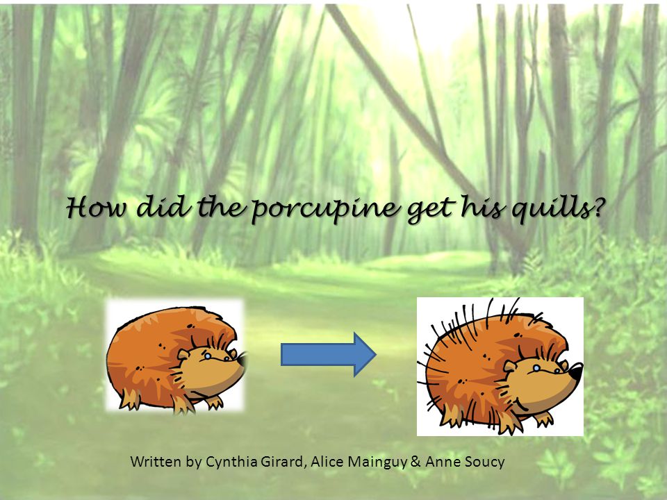 How did the porcupine get his quills Written by Cynthia Girard, Alice Mainguy & Anne Soucy