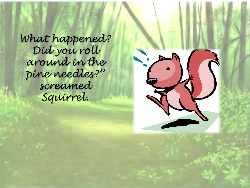 What happened Did you roll around in the pine needles ’’ screamed Squirrel.
