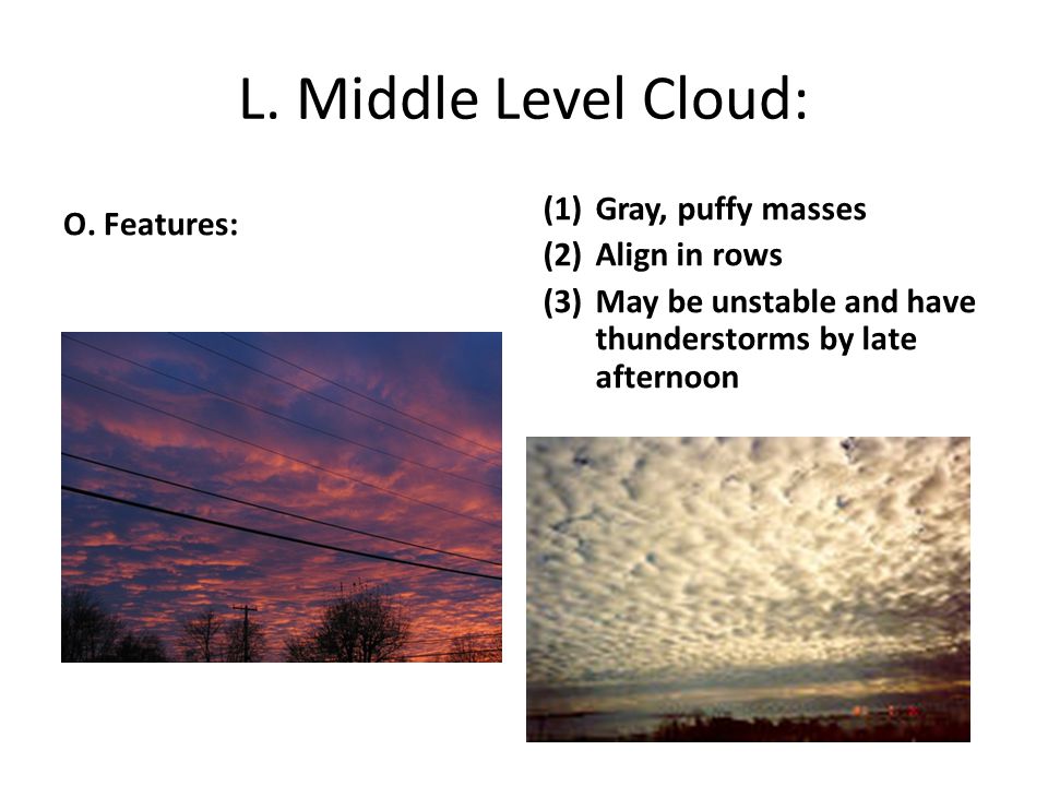 L. Middle Level Cloud: O.