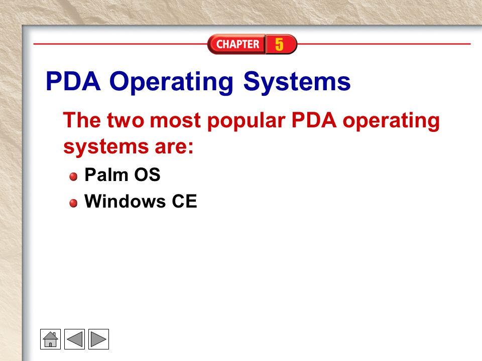 5 PDA Operating Systems The two most popular PDA operating systems are: Palm OS Windows CE