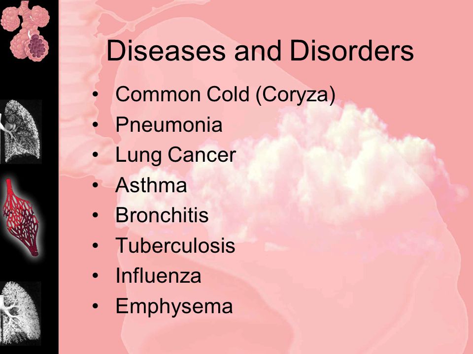 Diseases and Disorders Common Cold (Coryza) Pneumonia Lung Cancer Asthma Bronchitis Tuberculosis Influenza Emphysema